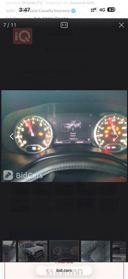 جيب رينيجيد